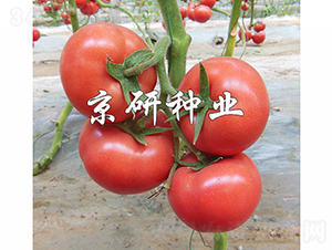 ����402-��������-������ҵ