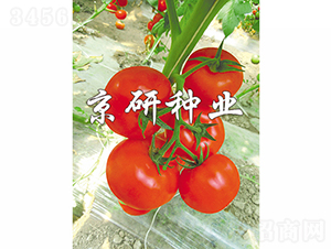 ����601-��������-������ҵ