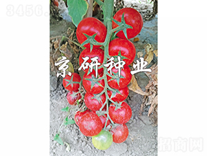 �����촮1��-��������-������ҵ