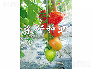 �����в�2��-��������-������ҵ