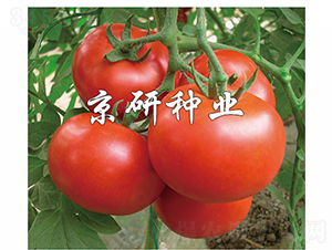 �Ѻ�7��-��������-������ҵ