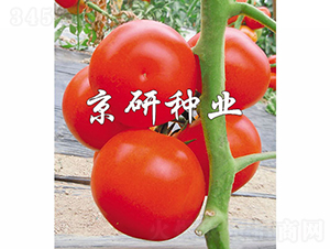 �Ѻ�8��-��������-������ҵ