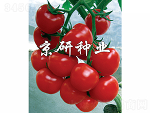 �챴��-��������-������ҵ