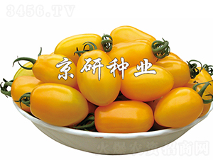 ��ݺ1��-��������-������ҵ