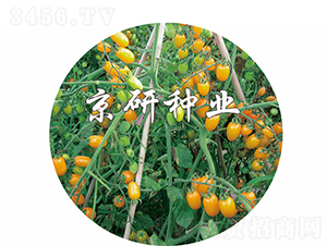 ��ݺ2��-��������-������ҵ