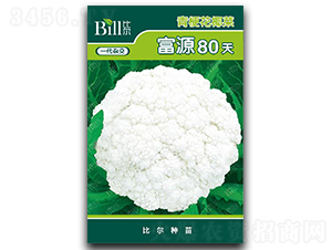 ��Դ80��-��Ҭ������-�ȶ�