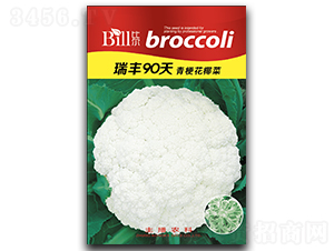 ���90��-��Ҭ������-�ȶ�