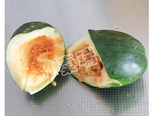 �౦-�������-����