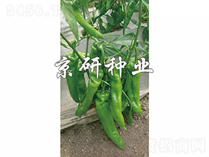 ����308-��������-������ҵ