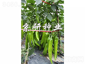����209-��������-������ҵ