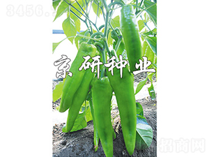 ����910-��������-������ҵ