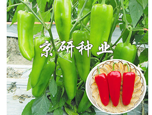 ����518-��������-������ҵ
