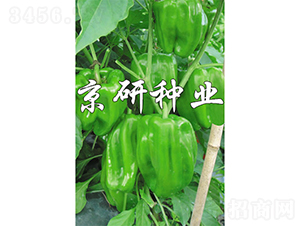 ����514-��������-������ҵ