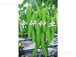 ����912-��������-������ҵ