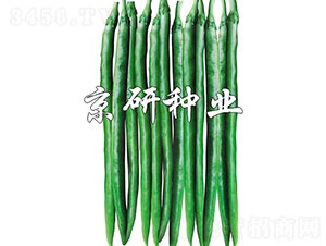 ����1629-��������-������ҵ