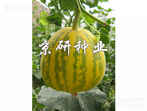 ����826-3-�������-������ҵ
