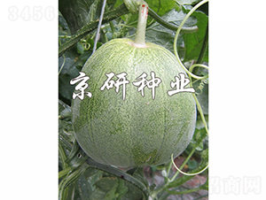 ����848-2-�������-������ҵ