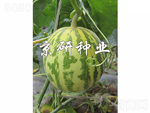 ����850-2-�������-������ҵ