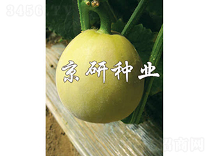 ����417-�������-������ҵ