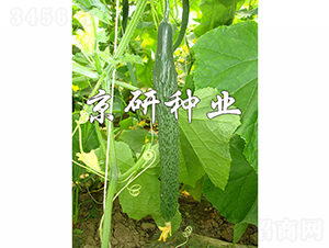 ����E31-�ƹ�����-������ҵ