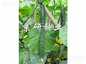 ���д�����3��-�ƹ�����-������ҵ