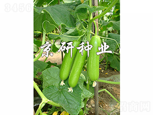 ���д�������2��-�ƹ�����-������ҵ