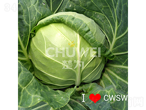 ��Բ��104-��������-��Ϊ����