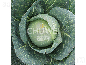 ��Բ��132-��������-��Ϊ����