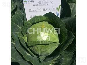 ��Բ��102-��������-��Ϊ����