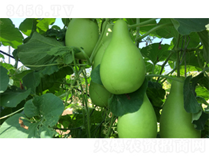 ����Բ�1��-����«����-������ҵ