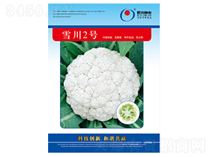 ѩ��2��-�ɻ�������-������ҵ