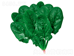 ����505-��������-������ҵ