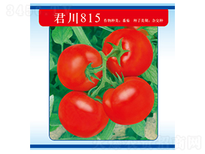 ����815-��������-������ҵ