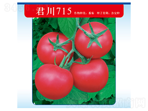 ����715-��������-������ҵ