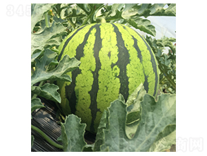 ����189-��������-������ҵ