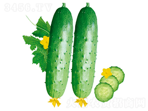 ����103-�ƹ�����-������ҵ