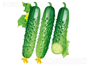 ����101-�ƹ�����-������ҵ
