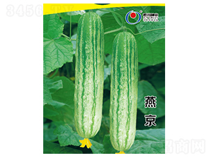 �ྩ-�ƹ�����-������ҵ