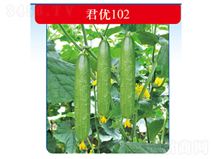 ����102-�ƹ�����-������ҵ