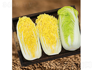 ����������-���޲�����-������ҵ
