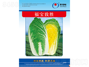 ������ʤ-���޲�����-������ҵ