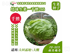 ǧʤ205-��������-����ũҵ