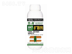 NNT˳��ʽ��ɢ��-����������
