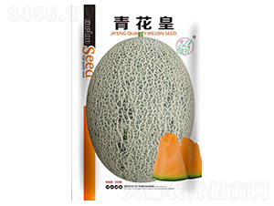 �໨��-�������-������ҵ