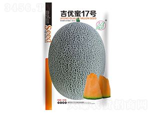 ������17��-�������-������ҵ