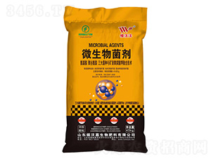 40kg΢�������-���ּ�-����ũ��
