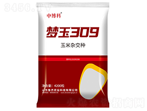 ����309��������-�в���-³��ũҵ