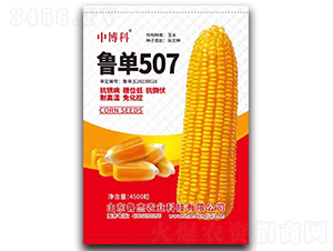 ³��507��������-�в���-³��ũҵ