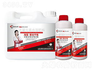 ���塤�ۺ�ƽ��170-170-170+TE-ľ��ʯ