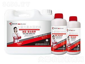 ���塤�ۺϸ߼�50-200-400+TE-ľ��ʯ